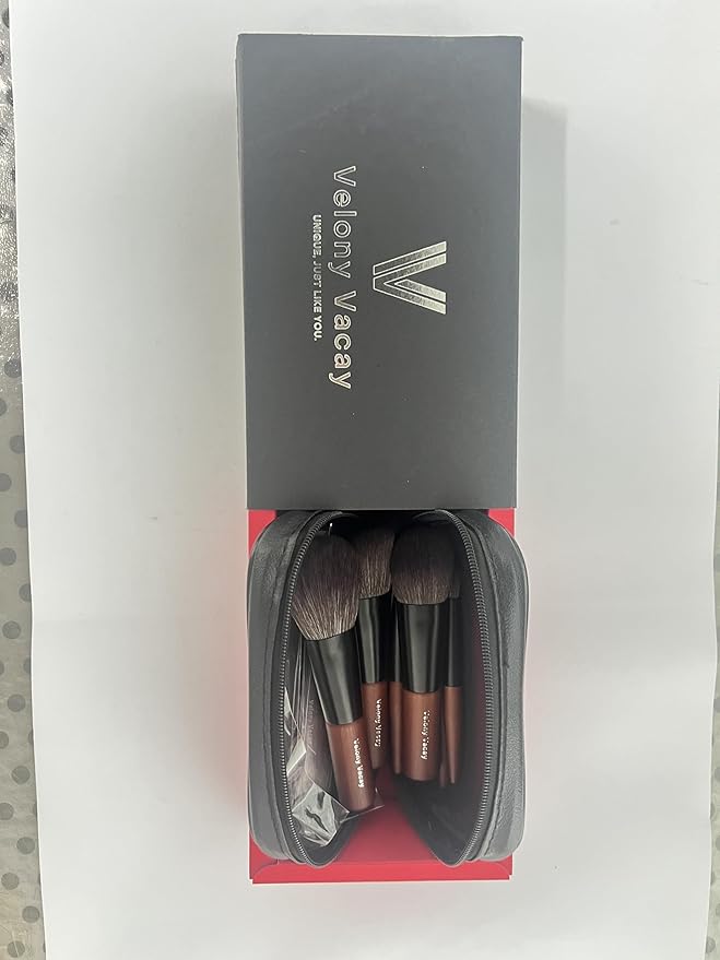 Makeup Brushes Set, 12 Pcs Mini Travel Makeup Brush Set with Case, Travel Brush Set for Loose powder, Contour, Blush, Concealer, Eye Shadow, Eye Corner, Brow Brushes Tool Kit