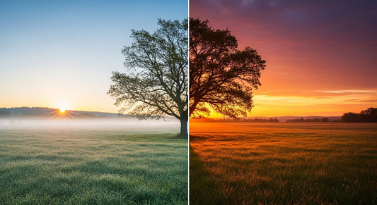 Skincare products arranged for morning and evening beauty routines