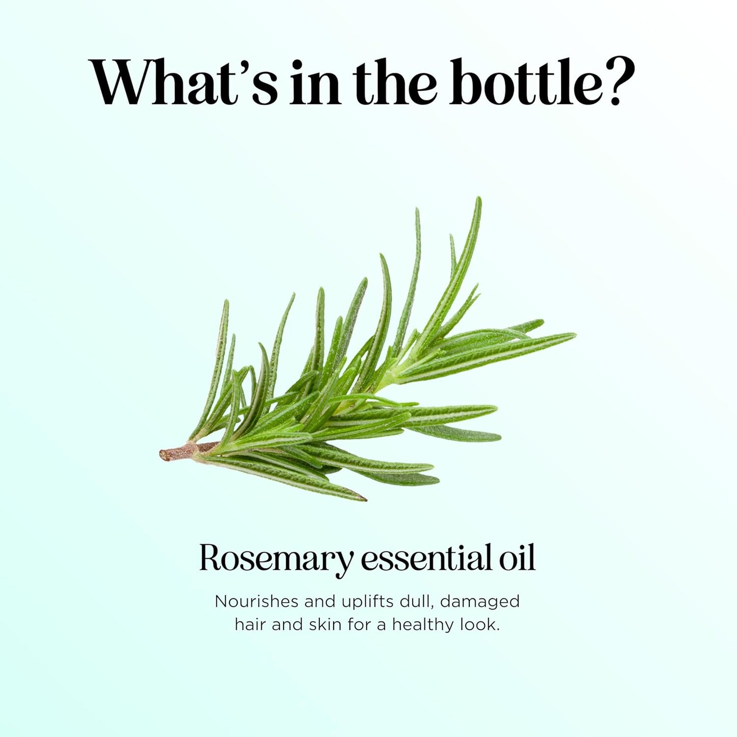 Pure Rosemary Essential Oil with Dropper - Undiluted Rosemary Oil for Hair Skin and Nails and Refreshing Aromatherapy Oil for Diffusers - Essential Oil for Cleansing Dry Scalp Care 4Oz