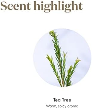 Young Living Tea Tree Premium Essential Oil - 15ml - Aromatherapy Diffuser - Skin Care for Skin & Nails - Healthy Hair and Scalp - 100% Pure & Natural