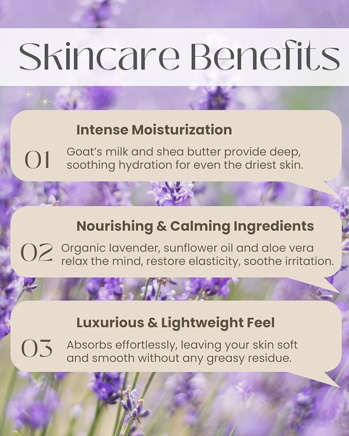 LAVENDER LANE Mango Lavender Hand & Body Lotion, 9 oz