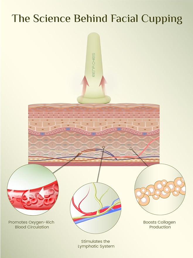 Rena Chris Facial Cupping Set & Gua Sha Facial Tool - Silicone Cupping Set & Jade Gua Sha Stone - Face Cupping Therapy Set for Natural Skin Care, Puffiness, Lip Plumping(Green)