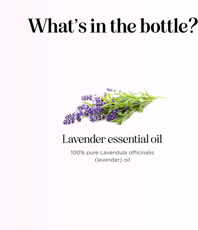 Pure Lavender Essential Oil - Lavender Oil for Hair Skin and Nails Plus Aromatherapy Diffusers Humidifiers Linens and Baths for at Home Spa Self Care - Premium Grade Non-GMO in Glass Bottle (1 Fl Oz)