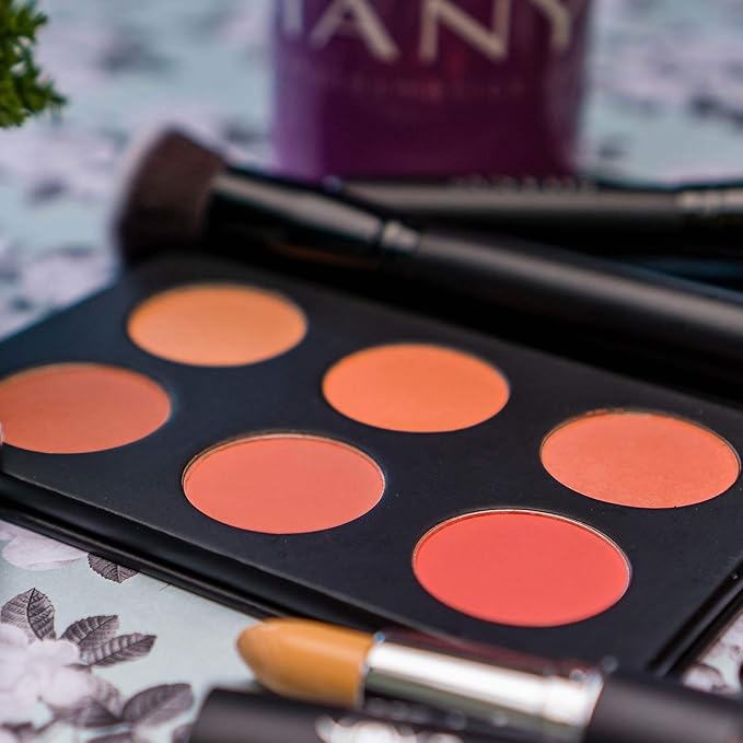 SHANY Shimmer & Matte Warm-Toned Blush Palette -