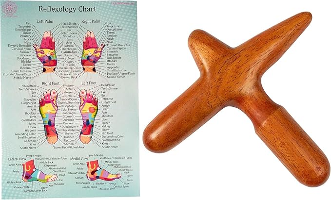 CCcollections Wood Therapy Massage Tools, Reflexology Wooden Stick Tool, Traditional Equipment for Relieving Muscle Pain Body Lymphatic Drainage Massager - (DB 1SET, 1, Count)