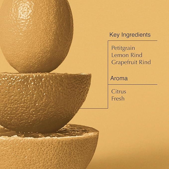 Aesop Citrus Melange Body Cleanser | Gentle Low-Foaming Gel Cleanser For Skin | Citrus Aroma with Botanical Extracts | 16.9 oz / 500 mL