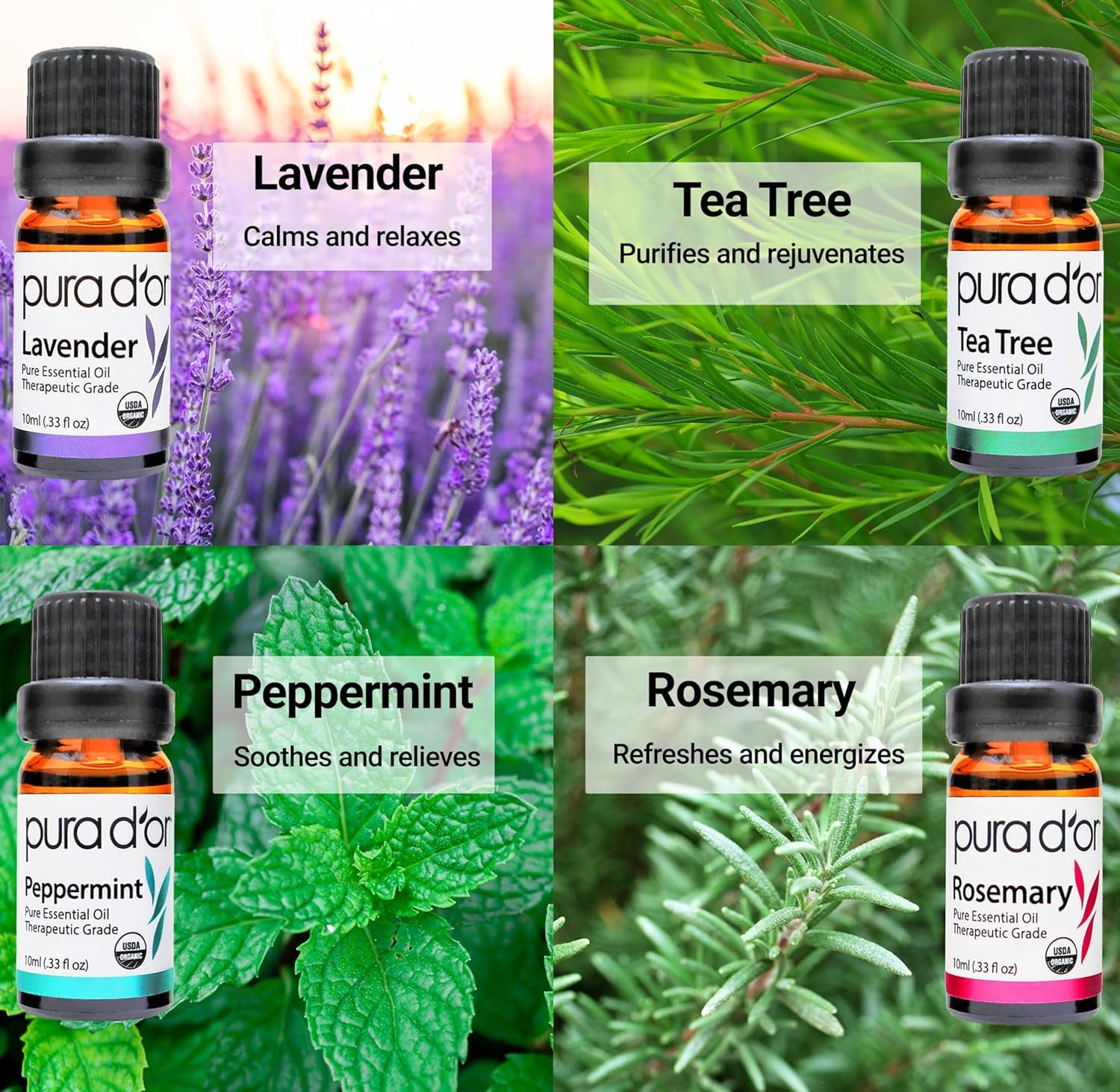 Organic Sweet16 Essential Oils Set - 16X 10Ml Wood Box Aromatherapy Gift Set - 100% Pure Therapeutic Grade for Relaxation and Wellness (Lavender, Rosemary, Turmeric, Ylang Ylang & More)